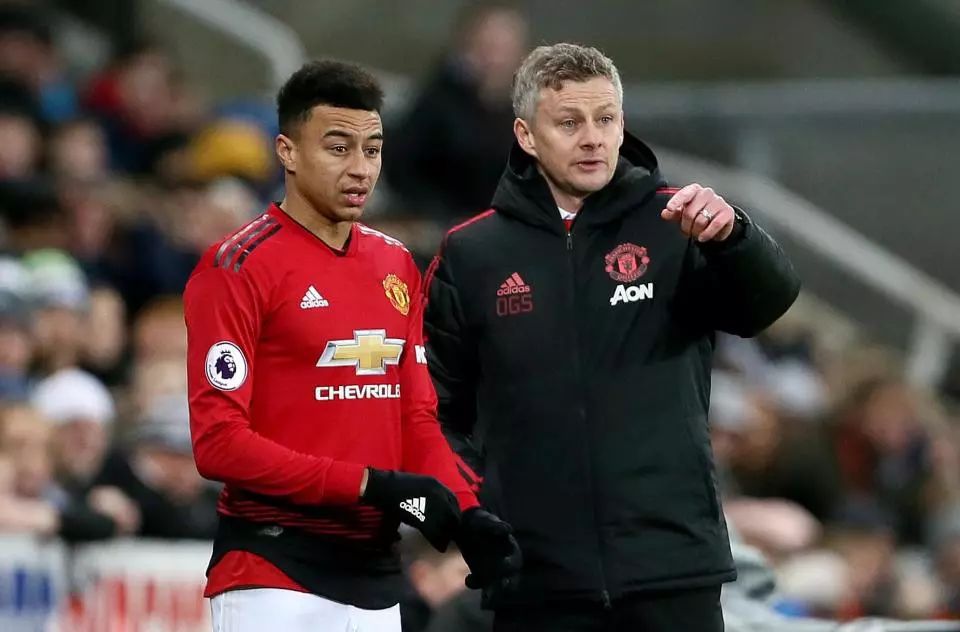 内老将带来 内老将带来